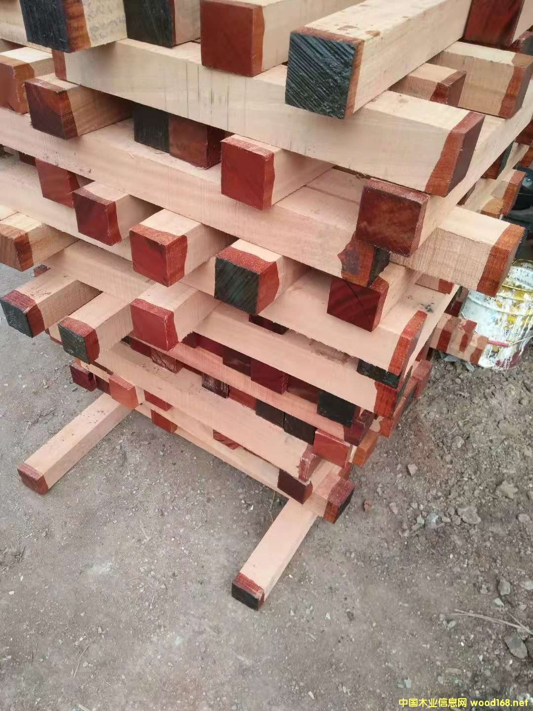 ɳ����������