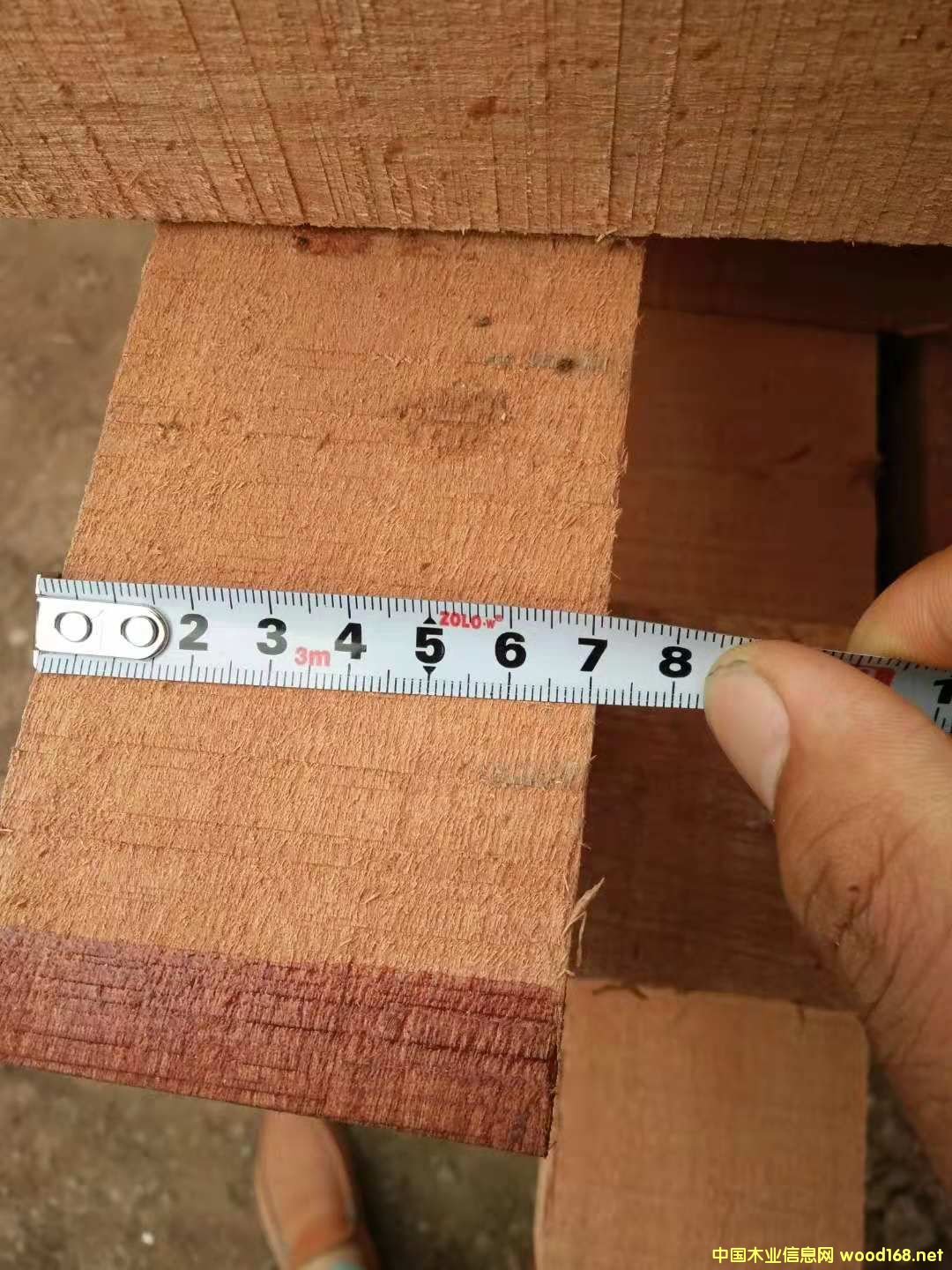 ɳ����������