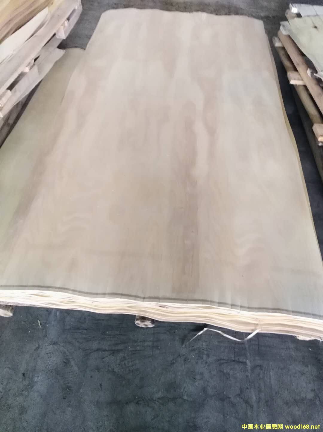 樺木單板的詳細介紹