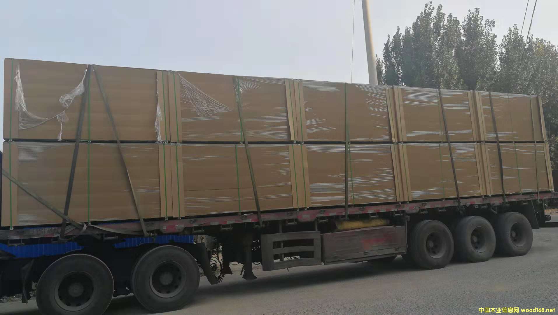 板材的詳細介紹