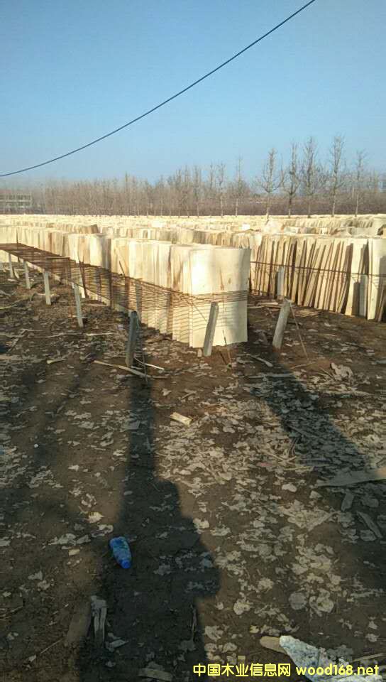 ��ľ��ƴ��Ԕ����B