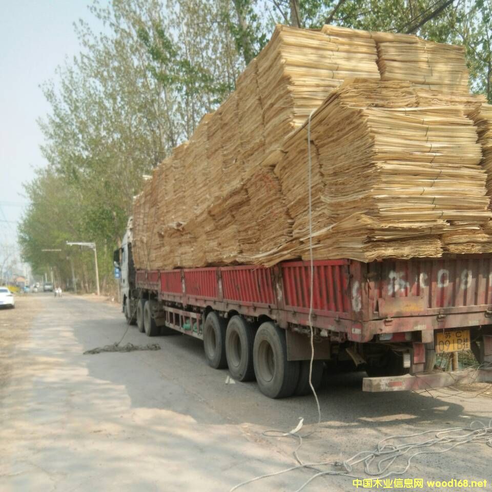 ��ĵ�Ԕ����B