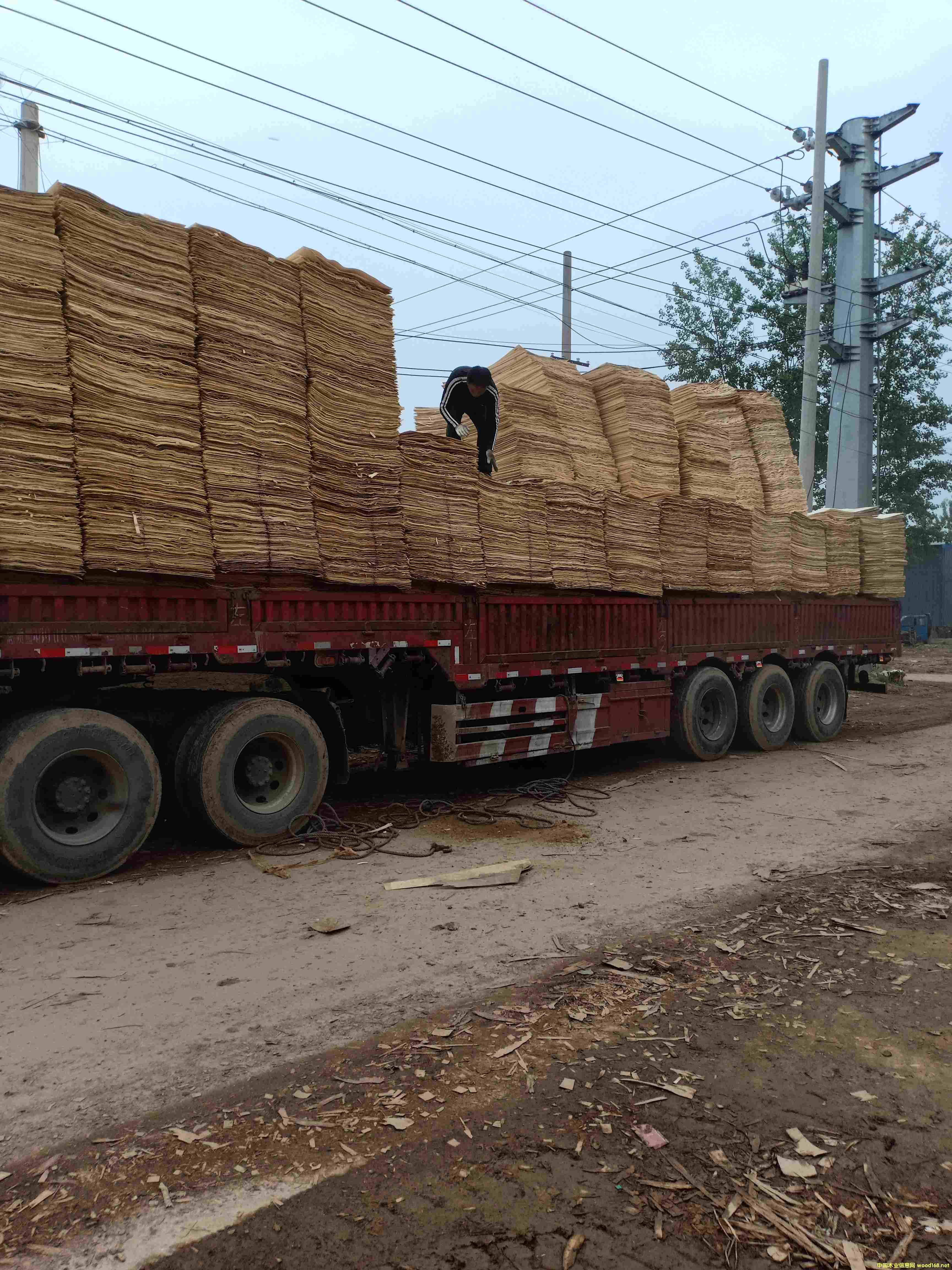 ��ƴ���Ԕ����B