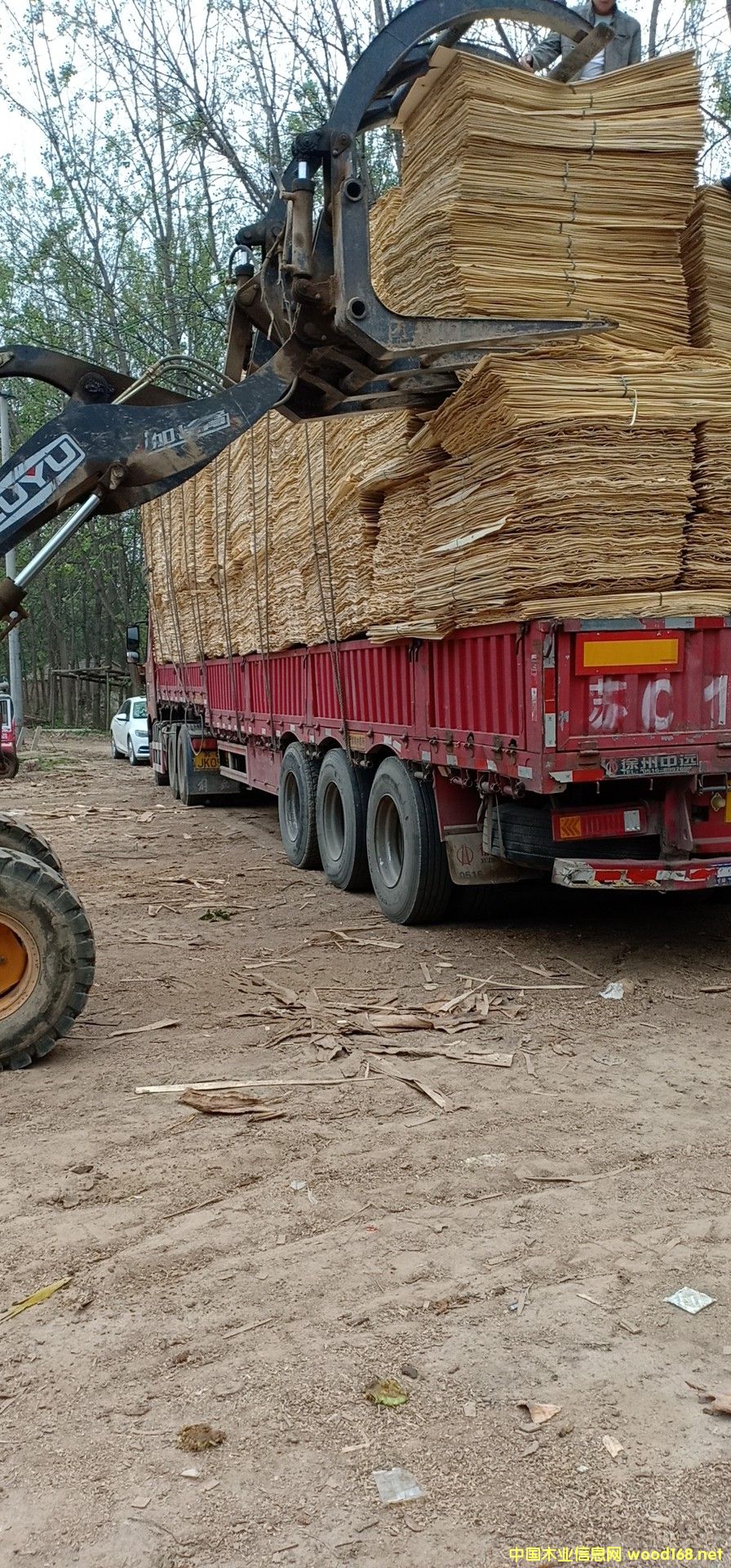 ��ĵ�Ԕ����B