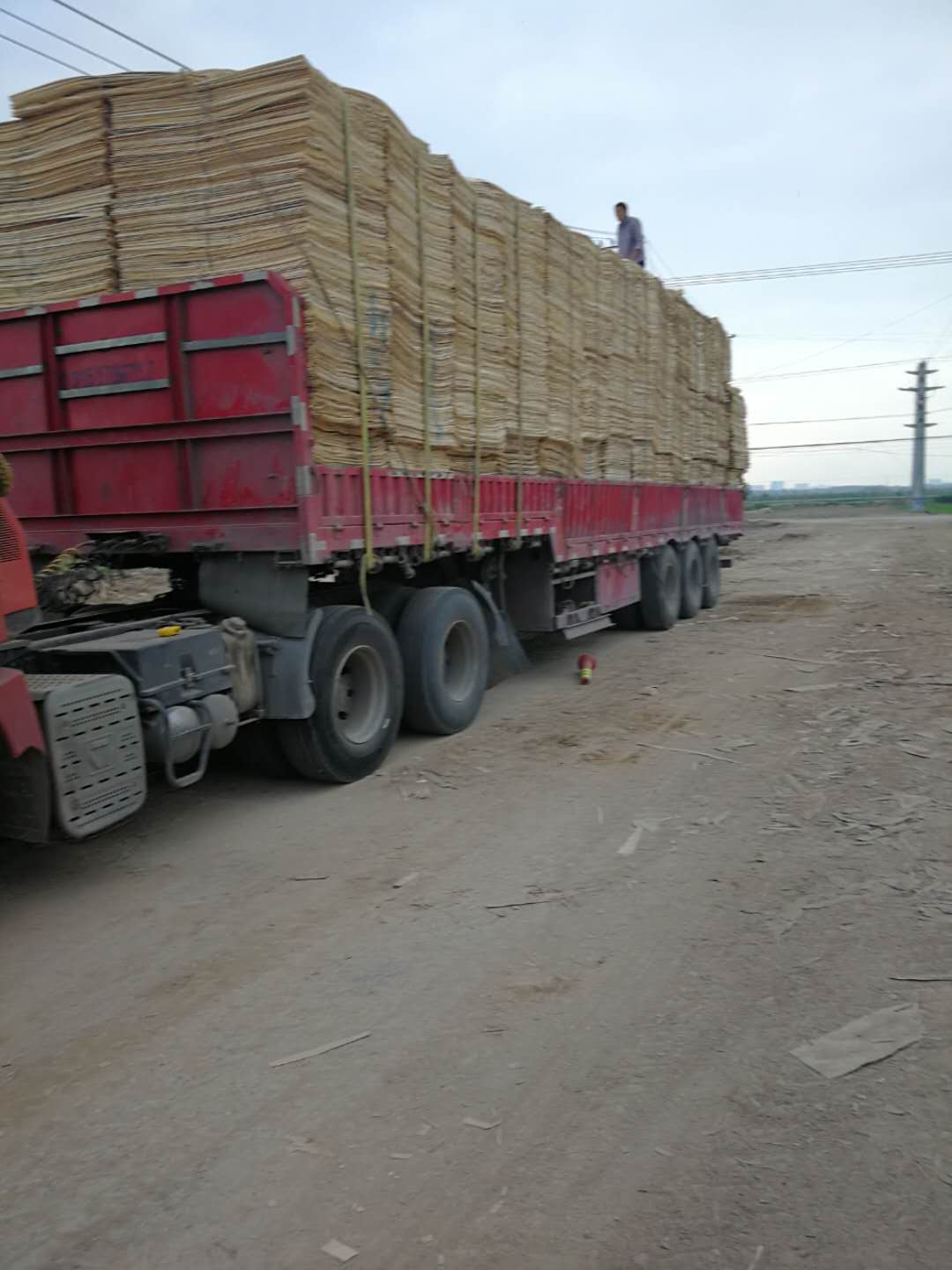 ��ľƤ�ӵ�Ԕ����B