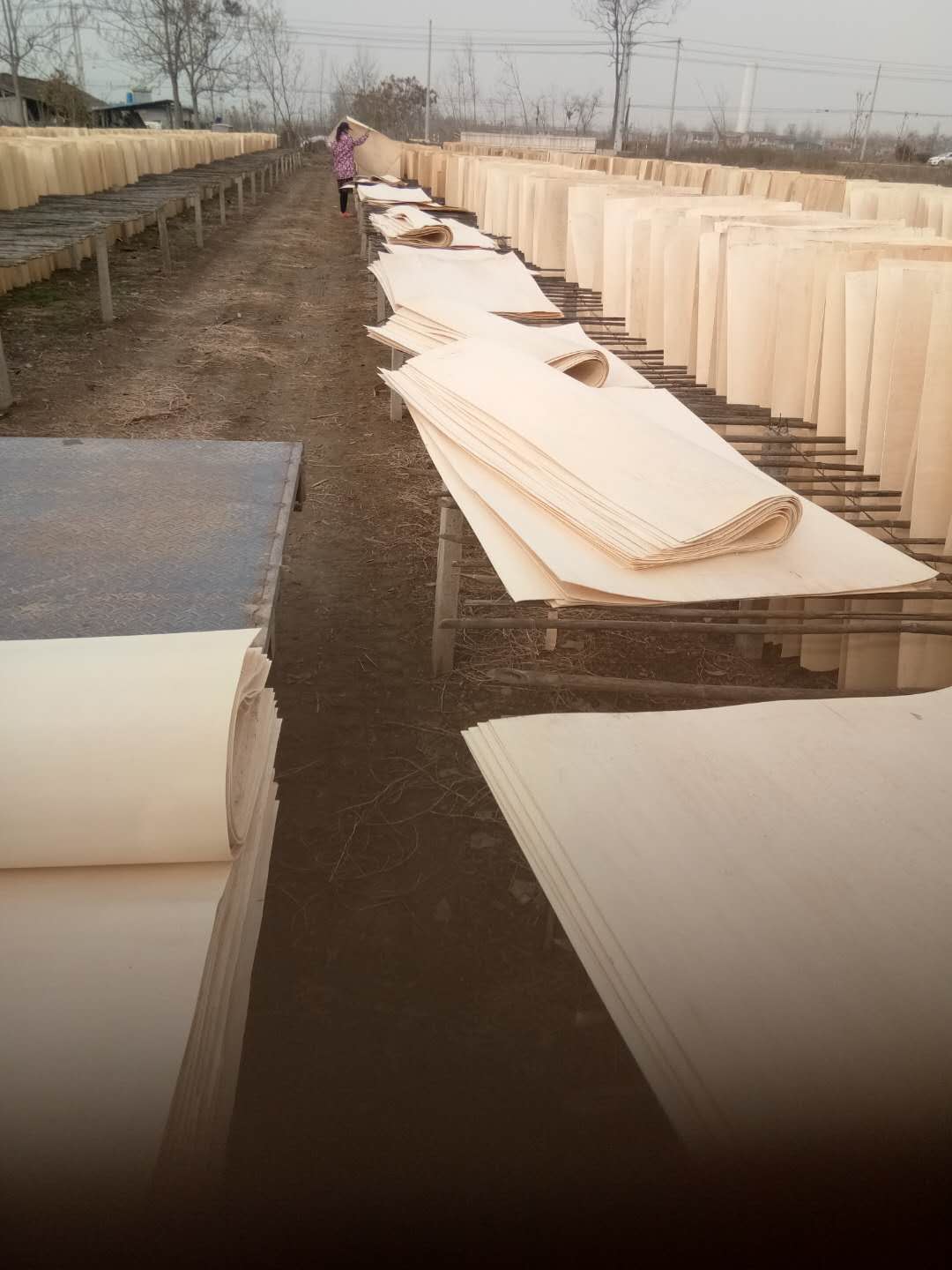  ��Ԕ����B