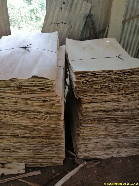 �S�h�΅R�S��ľƤ