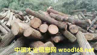 的詳細(xì)介紹