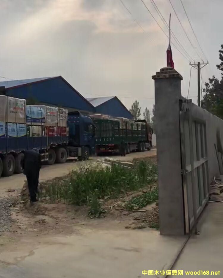 ʢ����ĵ�Ԕ��(x��)��B