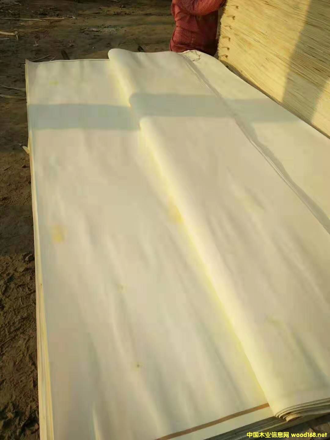 ��ľƯ�׵�Ԕ����B