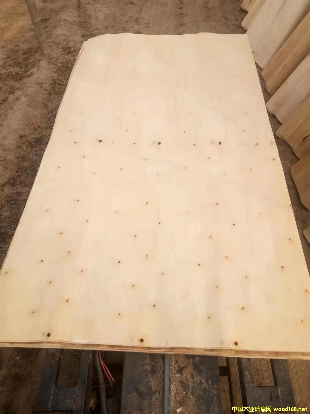 ��ľƯ�׵�Ԕ����B