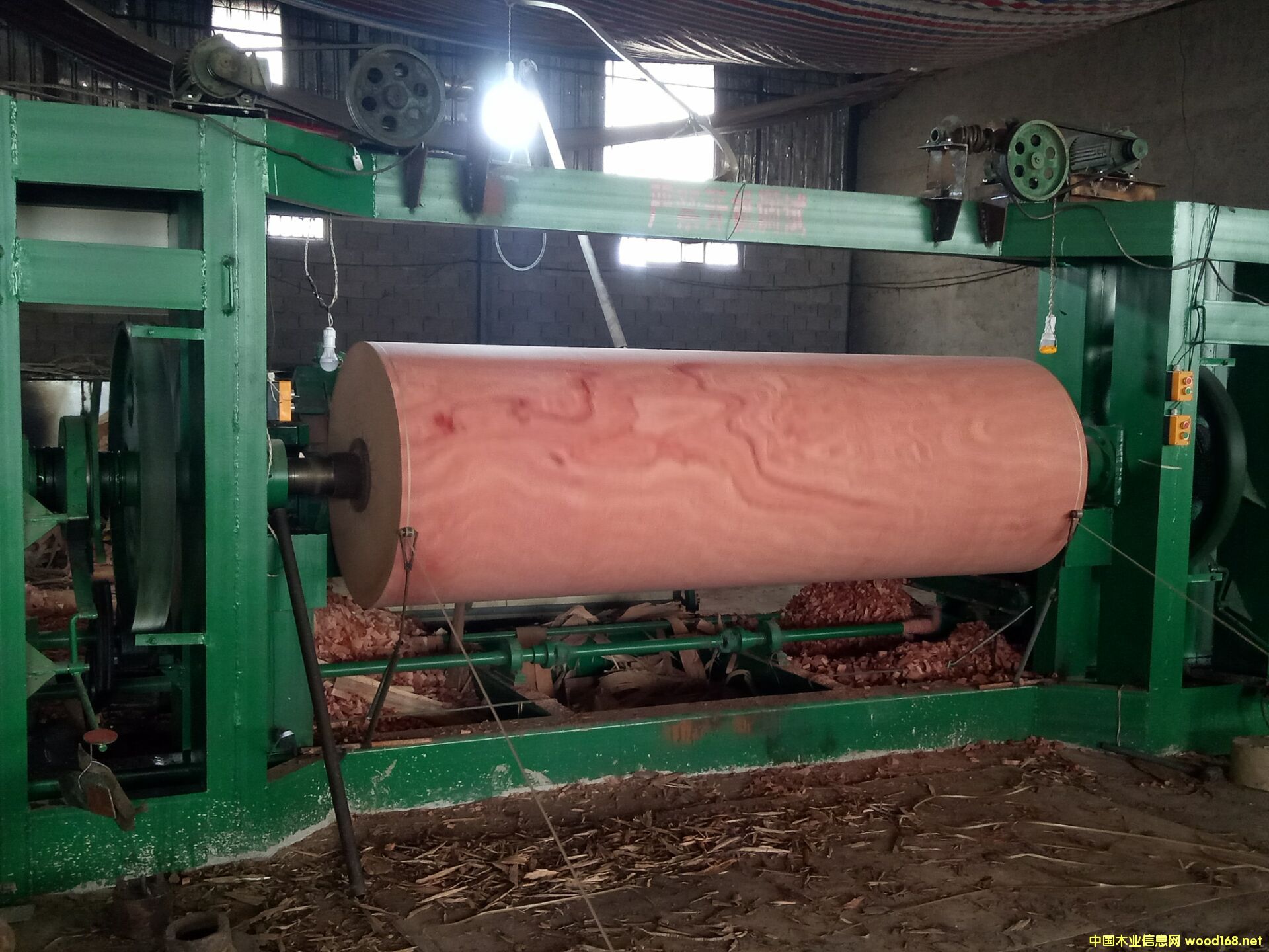 ɳ������Ƥ��Ԕ��(x��)��B