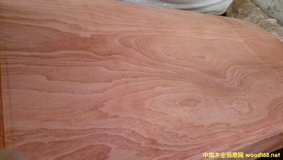 ɳ������Ƥ