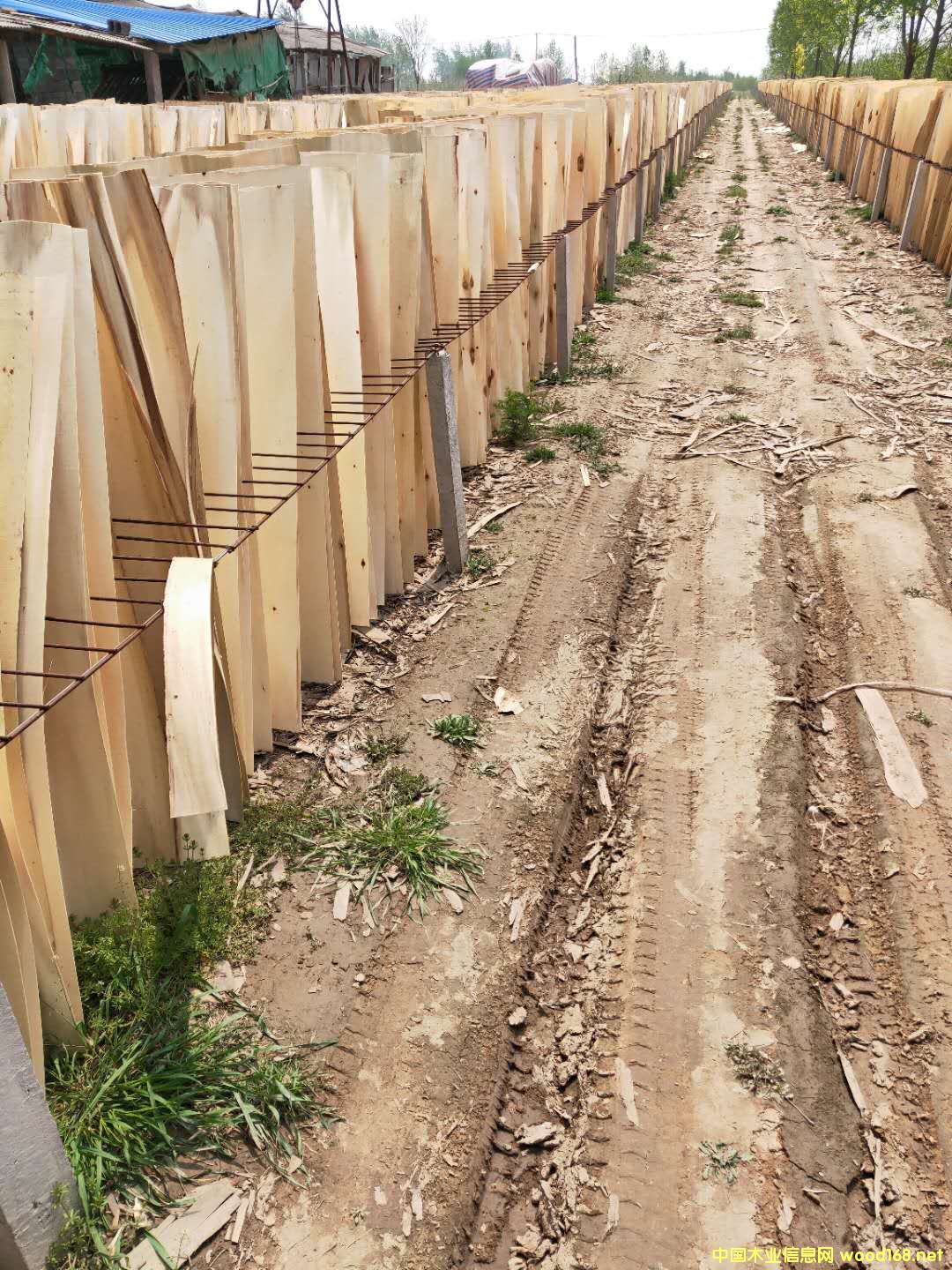  ��Ԕ��(x��)��B