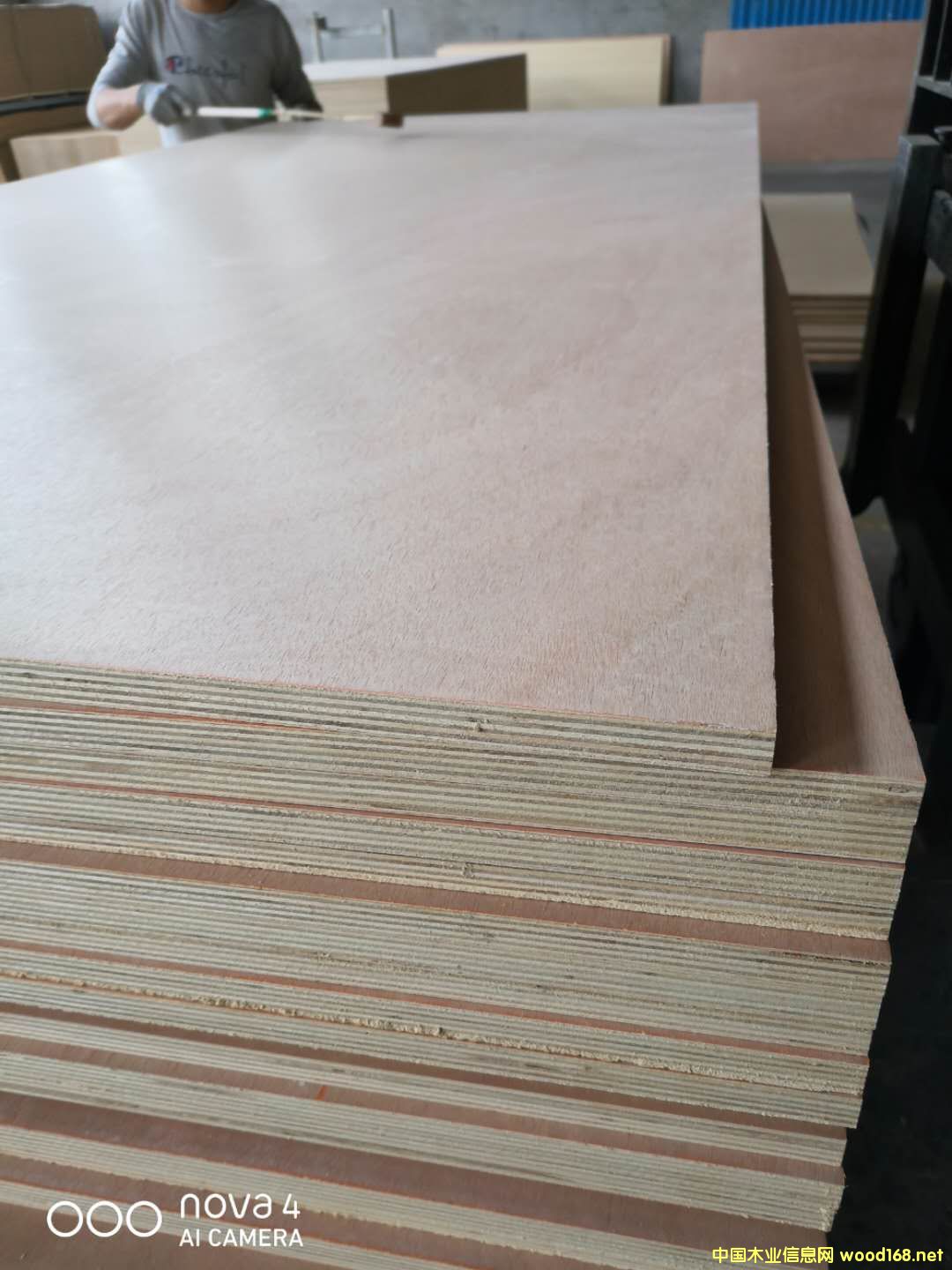 的詳細(xì)介紹