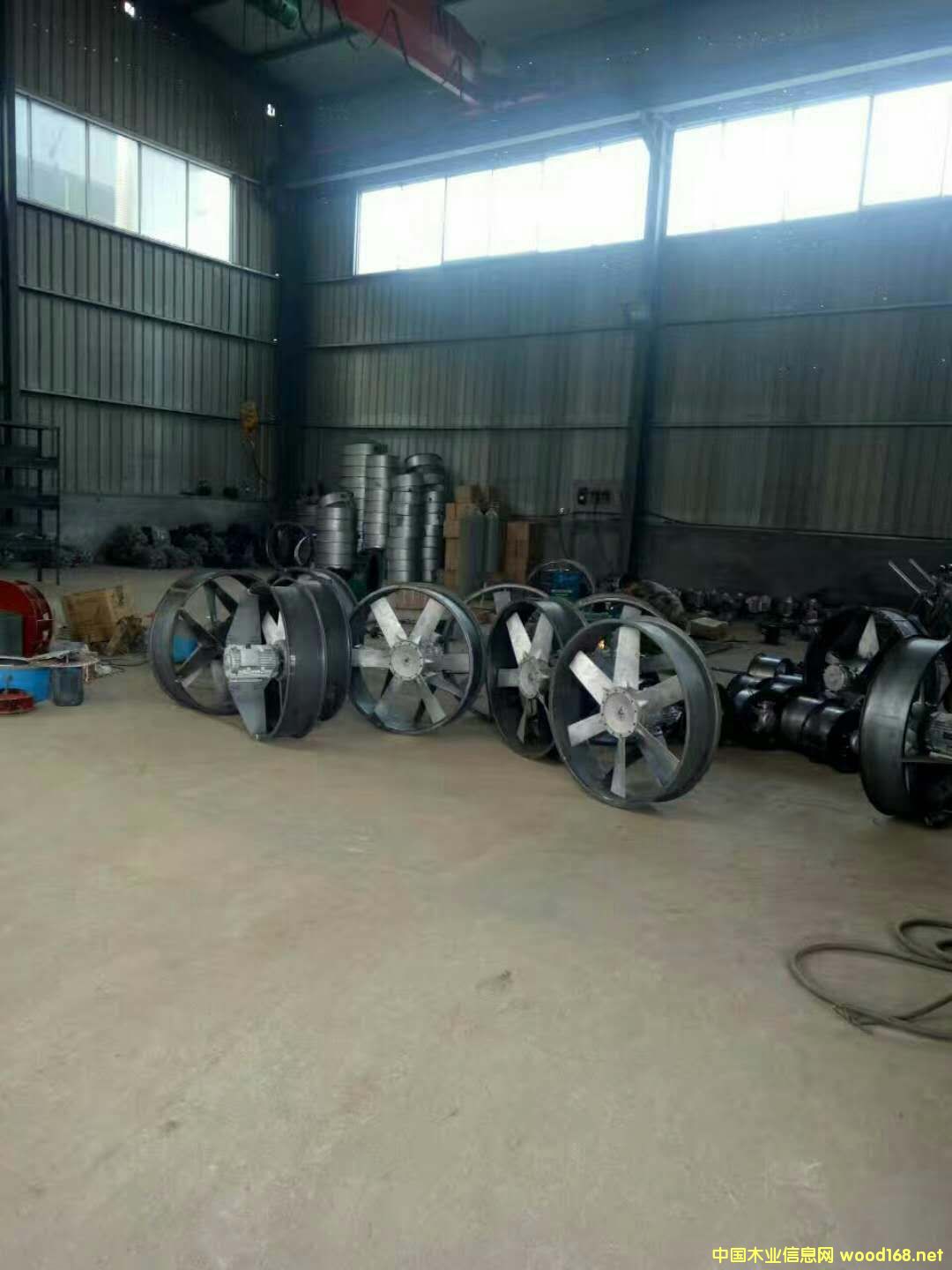 �����O��