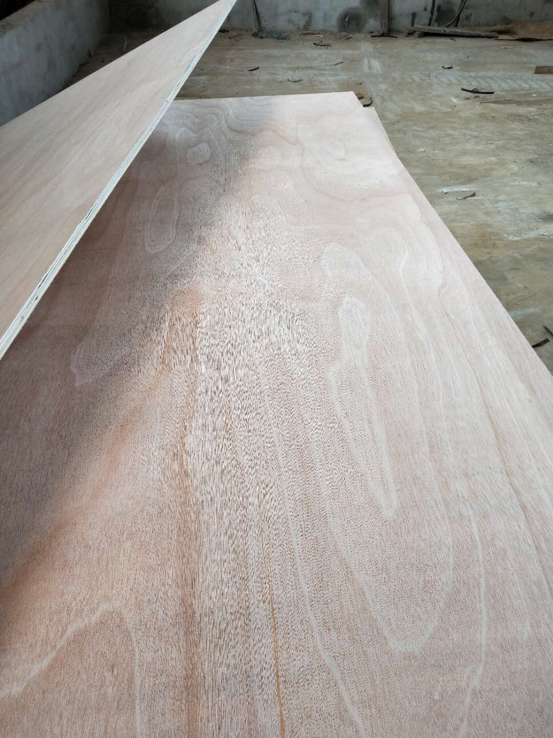 板材的詳細介紹