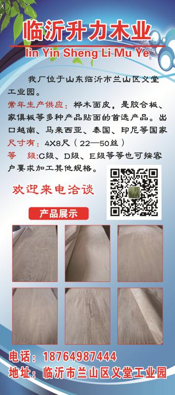 ��ľ��Ƥ��Ԕ��(x��)��B