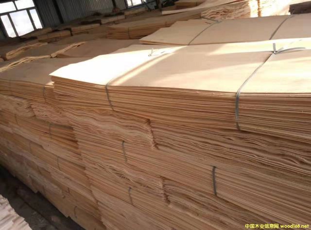 的詳細(xì)介紹