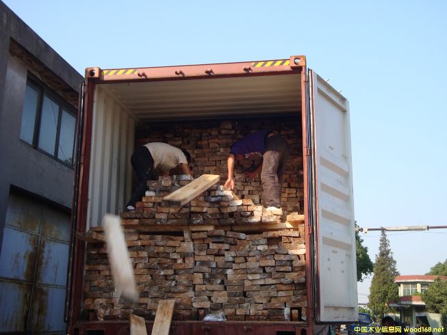 [��] ���������ľ��ģ��R����ľ����albizia falcata