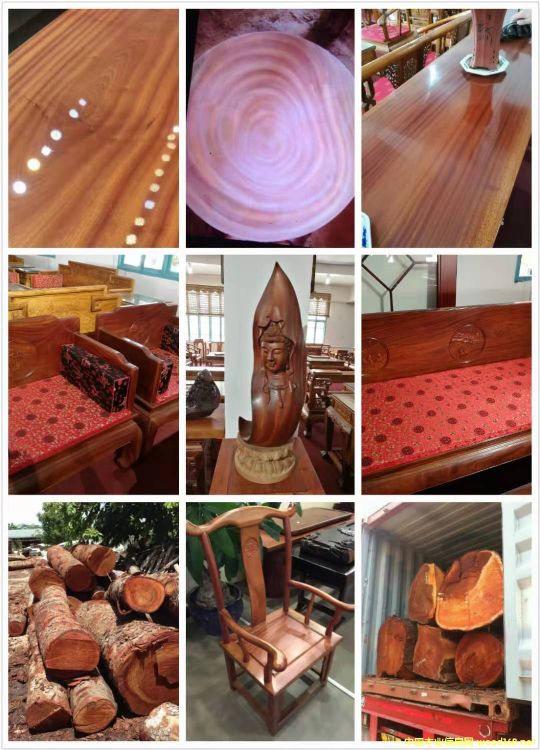 [��] �����һ�оľ���һ��İ�ģ���mahogany,���~�һ����������һ���