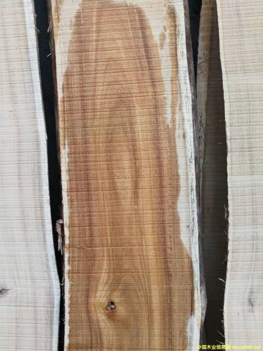 ���ڴ��~������