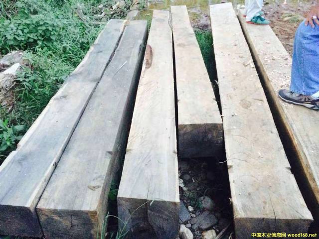 ���~��˼ľ�ķ�