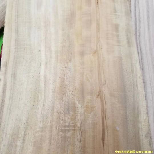 [��] �����M�ڴ��~��˼ľ��ACACIA����˼ľԭľ