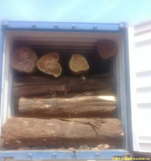 ���ڴ��~������