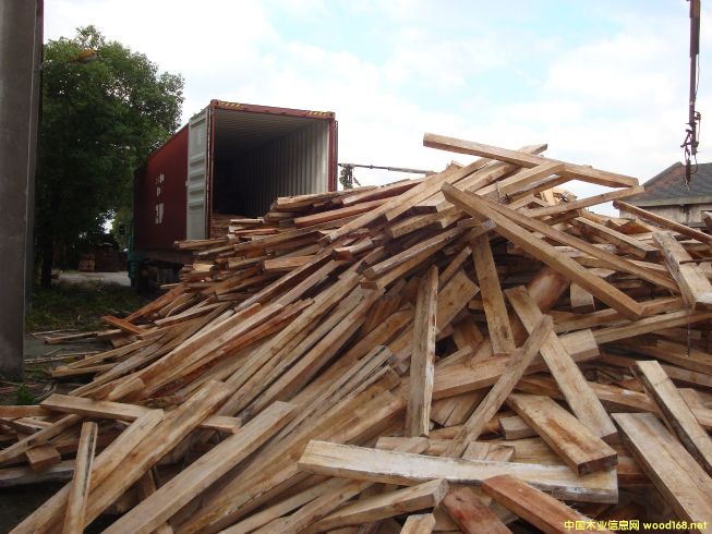 [��] ���������ľ��ģ��R����ľ����albizia falcata