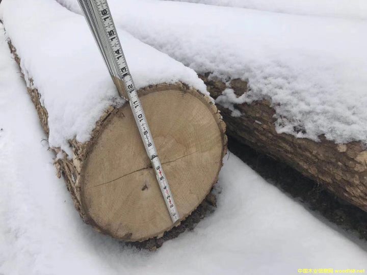 ��Ϟԭľ��Ԕ��(x��)��B