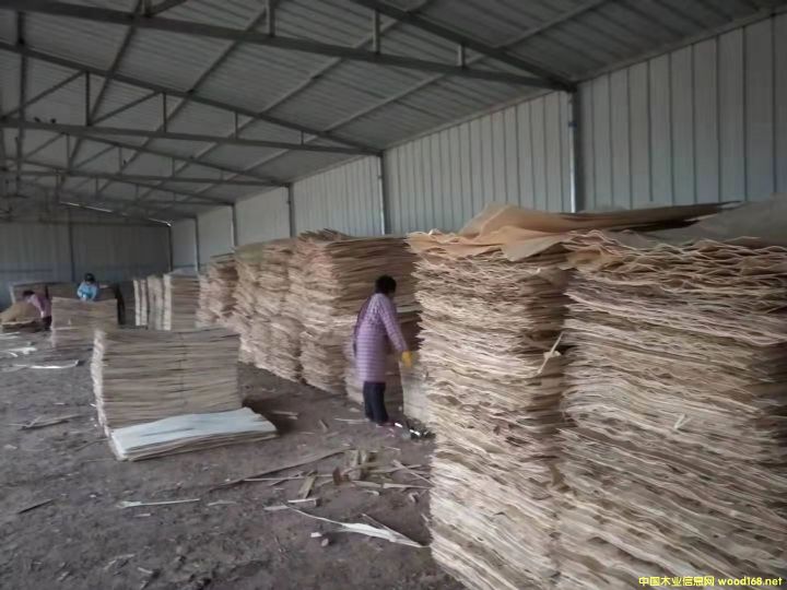  ��Ԕ����B