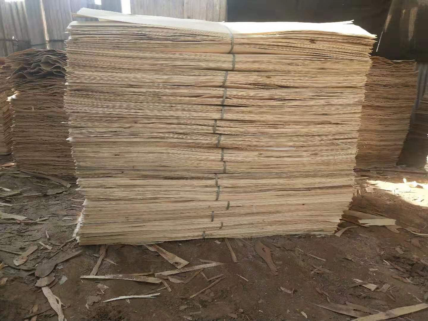 的詳細(xì)介紹