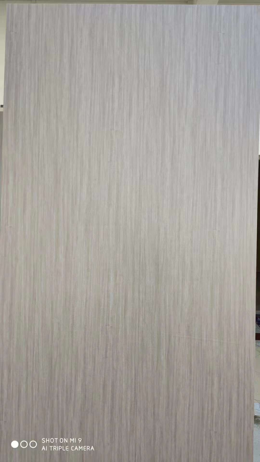 �����Ҿ����B���