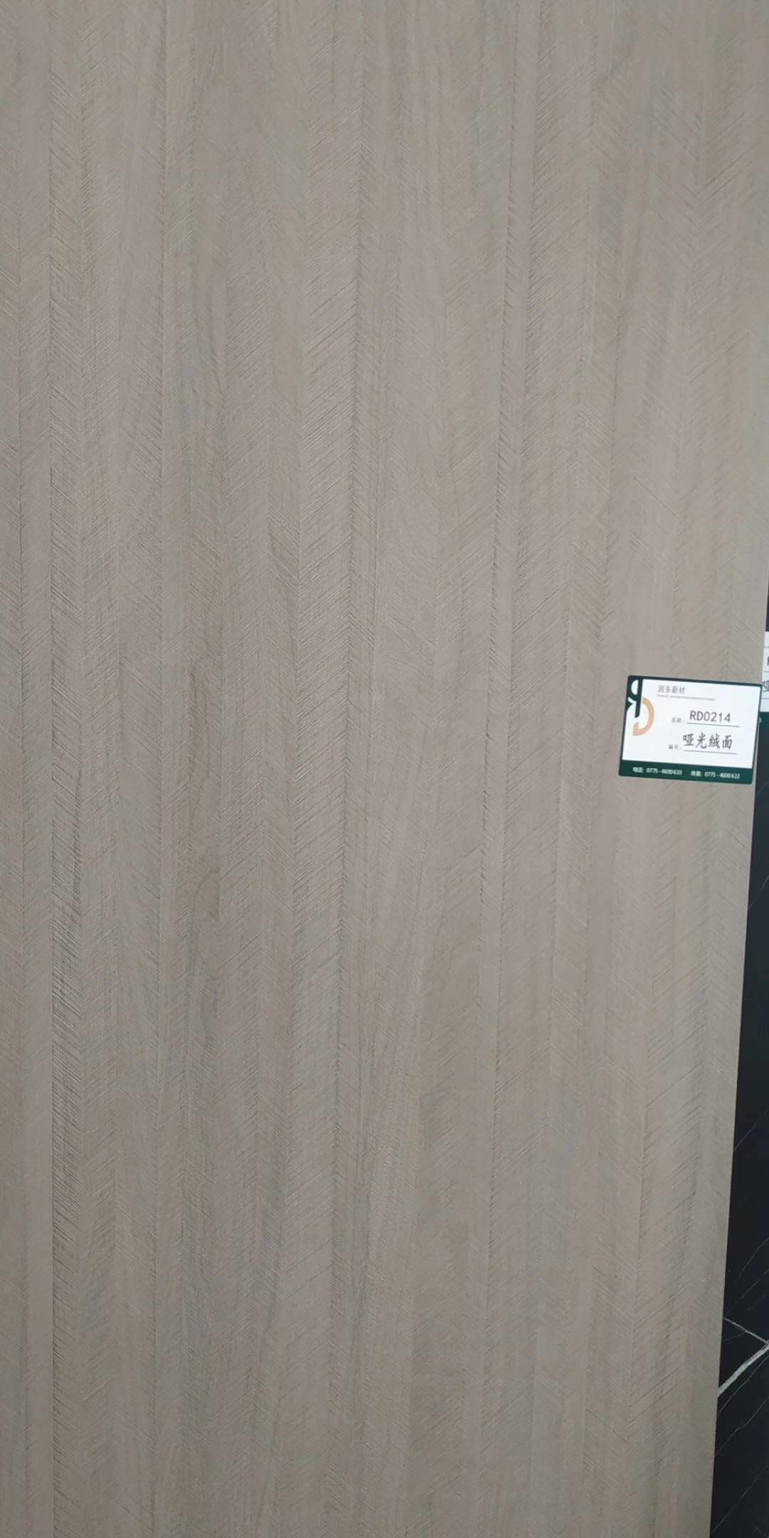 �����Ҿ����B���