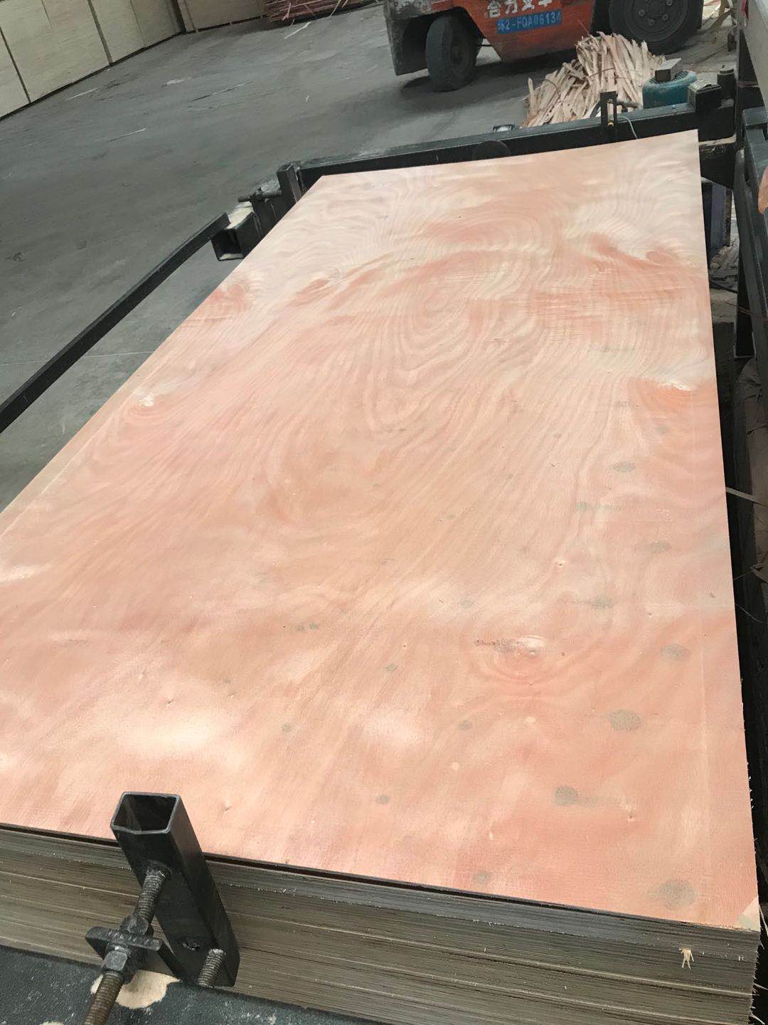 的詳細(xì)介紹