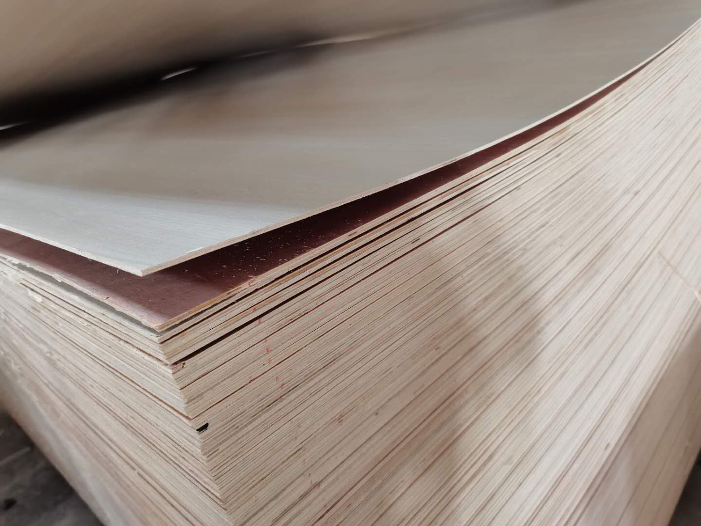 的詳細(xì)介紹