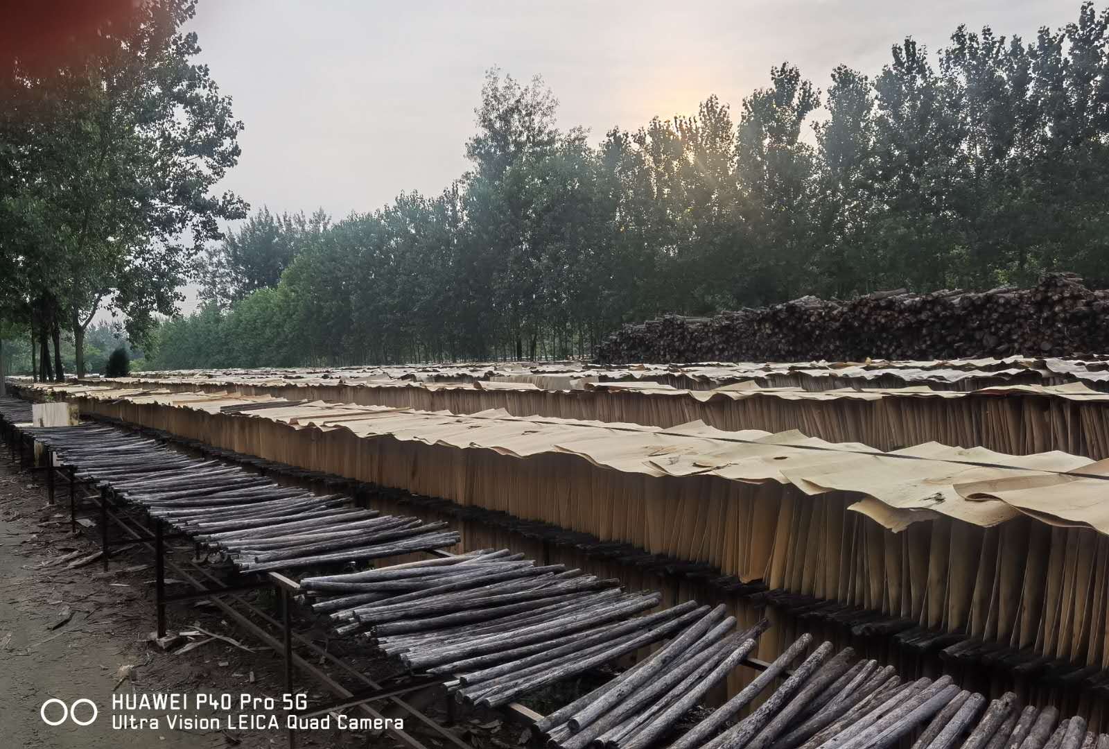  ��Ԕ��(x��)��B