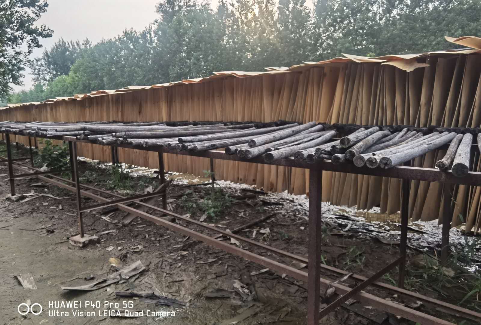  ��Ԕ��(x��)��B