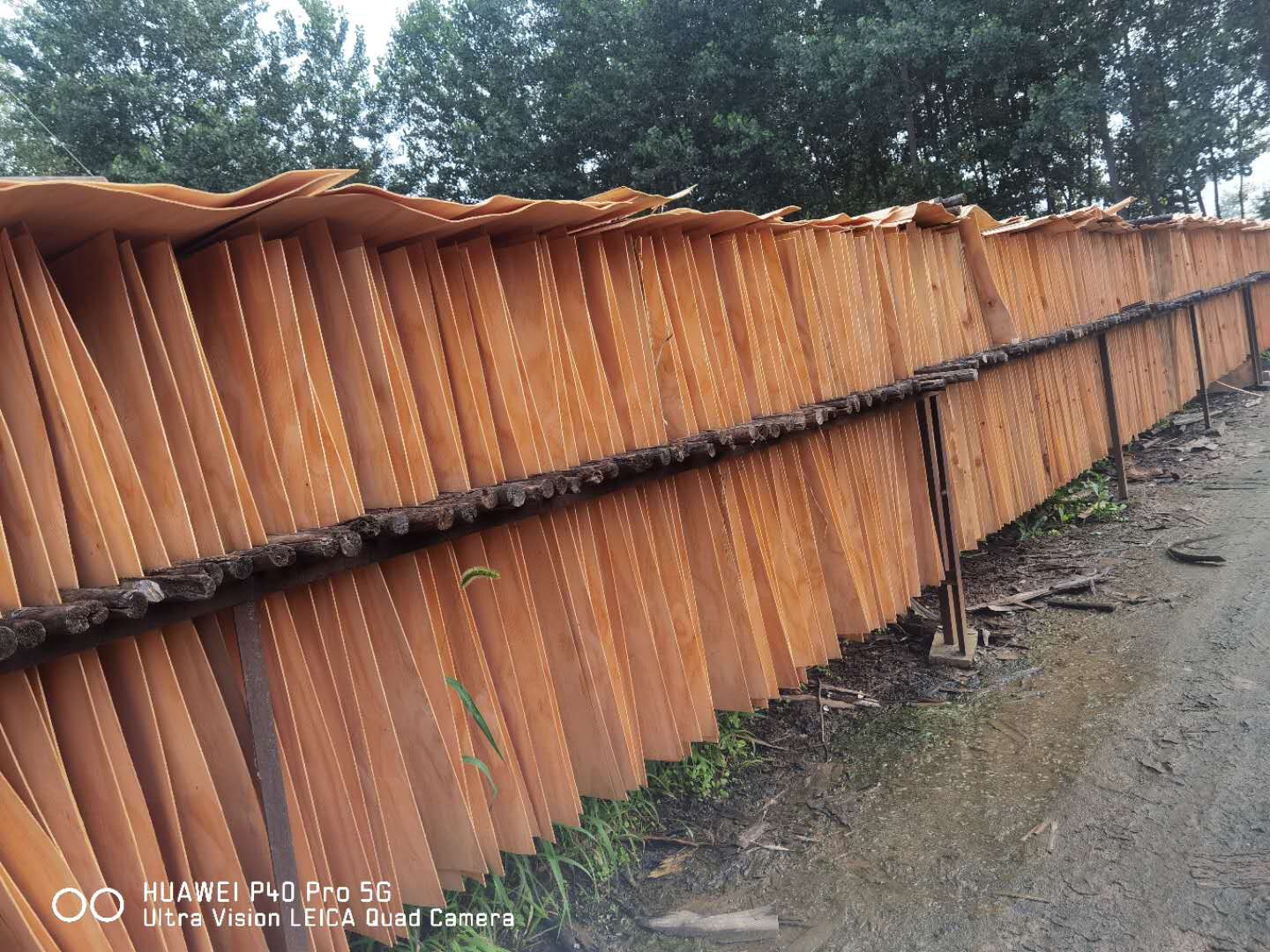  ��Ԕ��(x��)��B