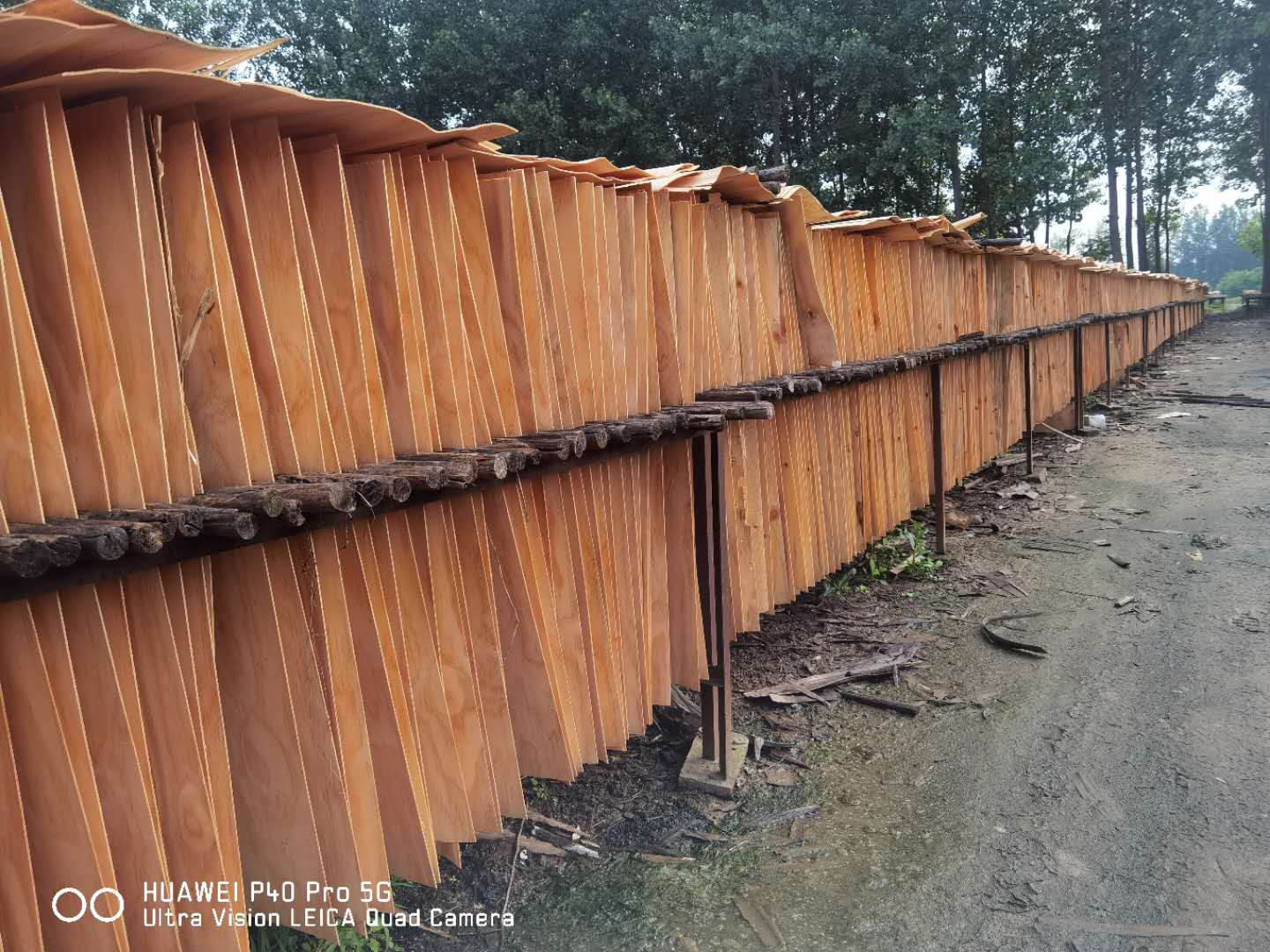  ��Ԕ��(x��)��B