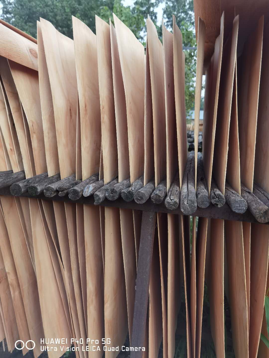  ��Ԕ��(x��)��B