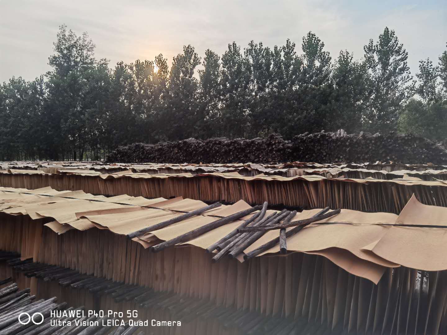  ��Ԕ��(x��)��B