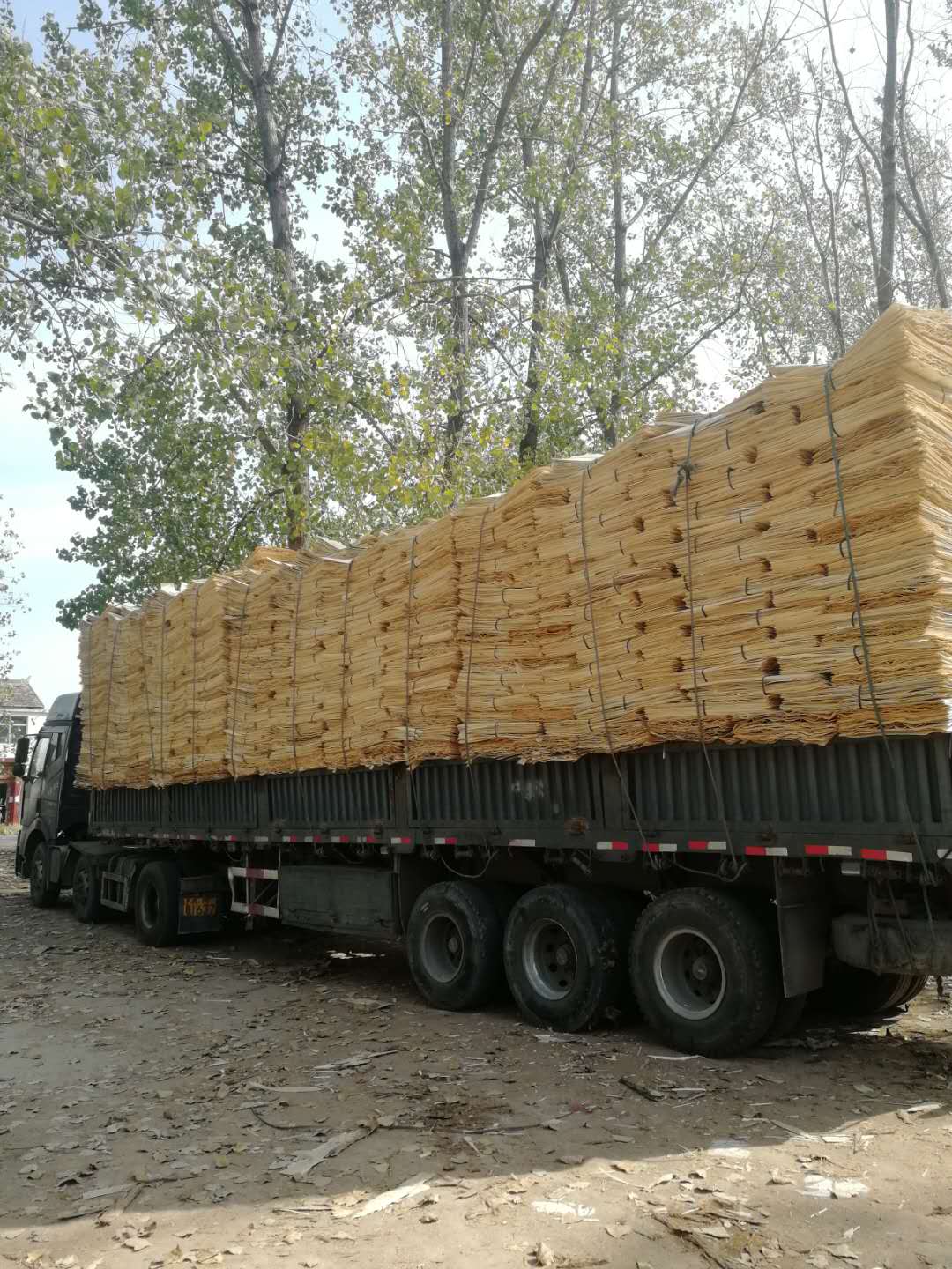  ��Ԕ��(x��)��B