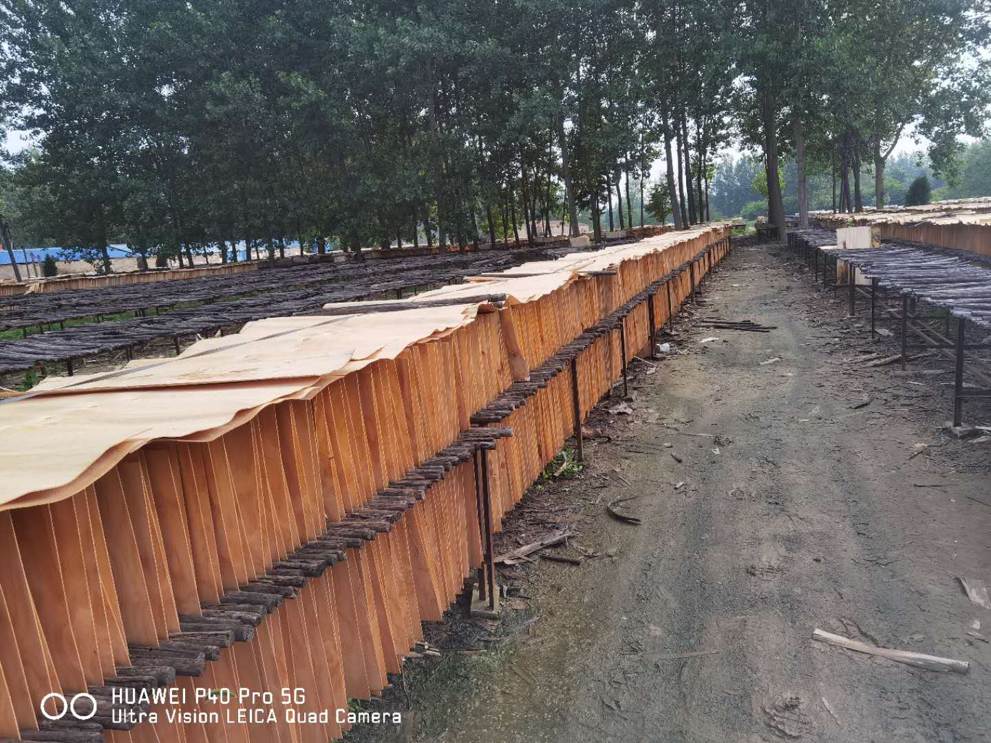  ��Ԕ��(x��)��B