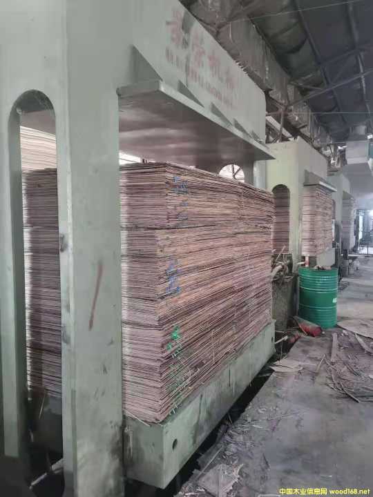  ��Ԕ����B