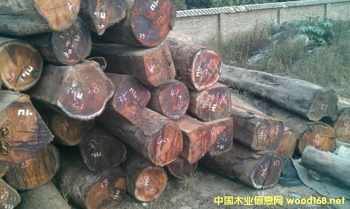 �������ϓ�������կ��Խ���^�m���P����t��֦ԭ�����Ĵ��M