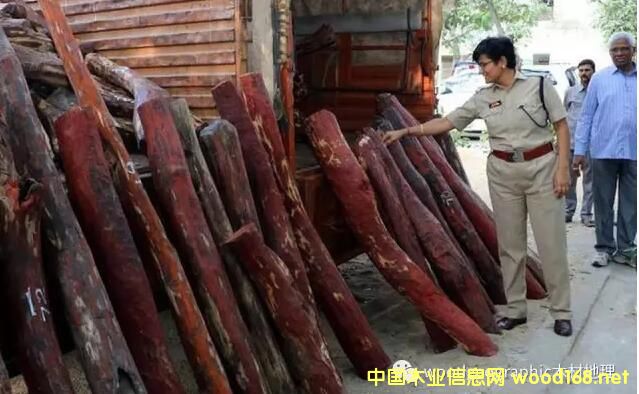 ӡ��̩�נ��{�°��U�@������˽��̴ľ