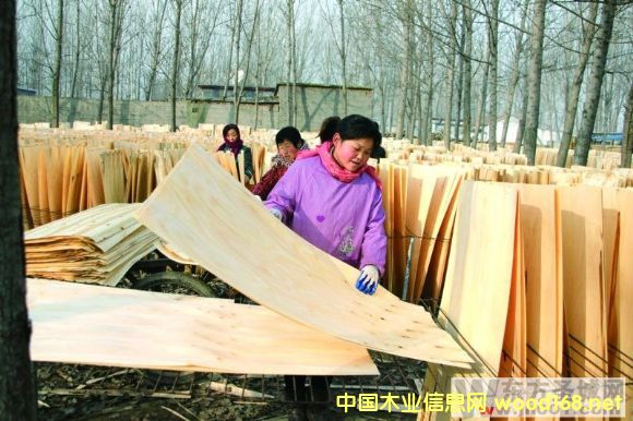 ��ɽ�hС·�������ľ�I�YԴ���ݴ����lչ��Ƥ�ӹ��I