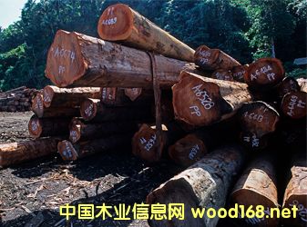 ���u���Ј����Ĳ��㣬�tľ���ָ���յ�0.71%